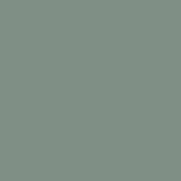 Rioverde SupaMatt swatch